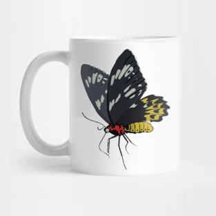 Animal Vignette : Butterfly Portrait Mug